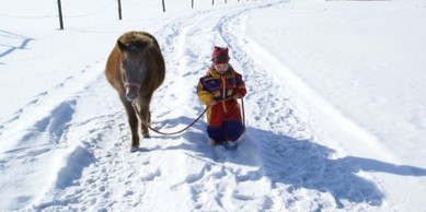 Schneewanderung mit Pferd