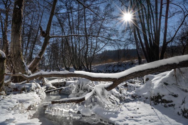 Ohm im Winter- Zeigt eine vergrößerte Version