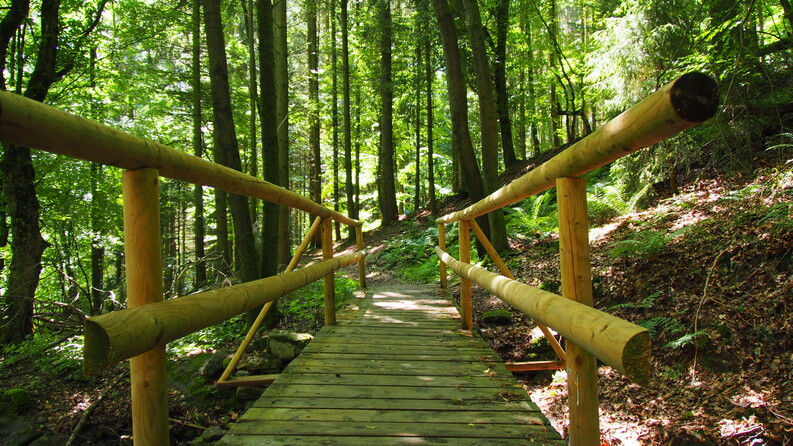 Brücke über die Hartschlucht