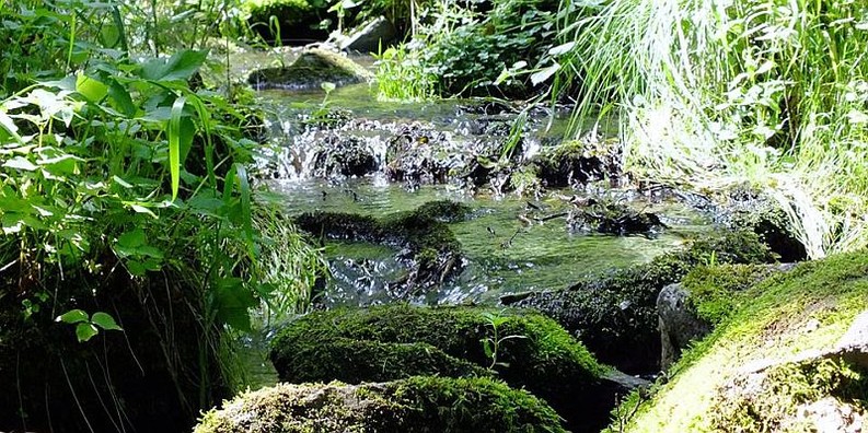 Sagenhaftes Schächerbachtal- Zeigt eine vergrößerte Version