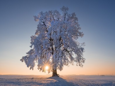 Sonnenaufgang- Zeigt eine vergrößerte Version