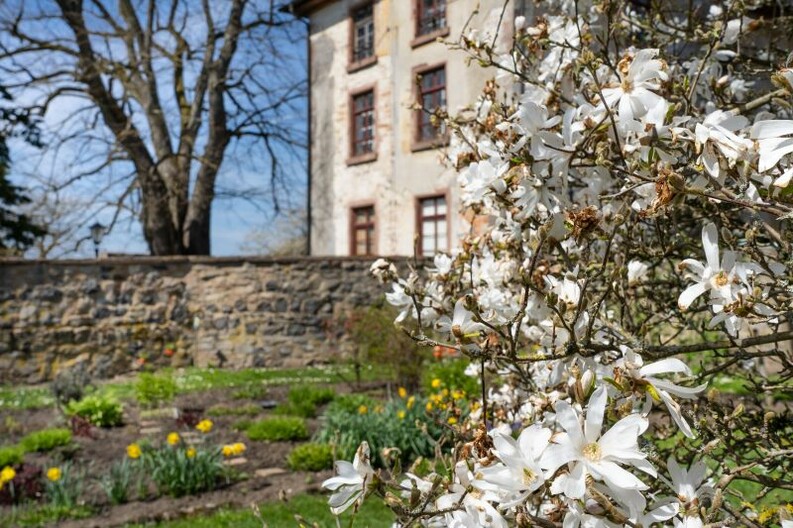 Frühling am Schloss- Zeigt eine vergrößerte Version