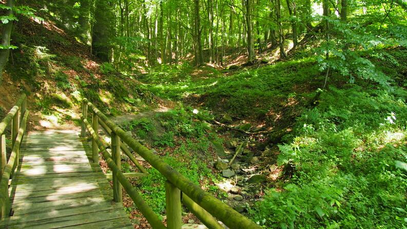 Zahlreiche Brücken führen durch die Hartschlucht