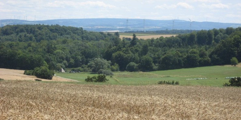 Aussichten in Deckenbach- Zeigt eine vergrößerte Version