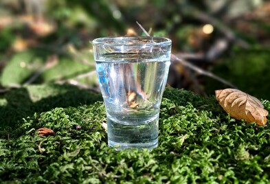 Ein Schnäpslein steht im Walde