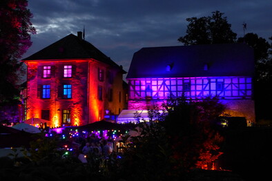 Schloss bei Nacht- Zeigt eine vergrößerte Version