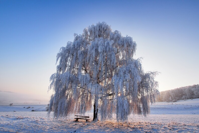 Winterstimmung in Gontershausen